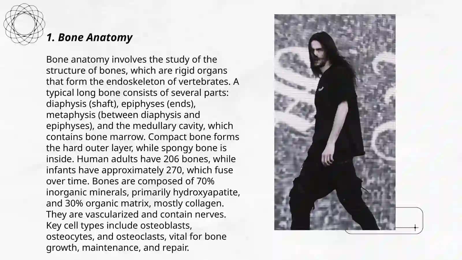 Bones 3