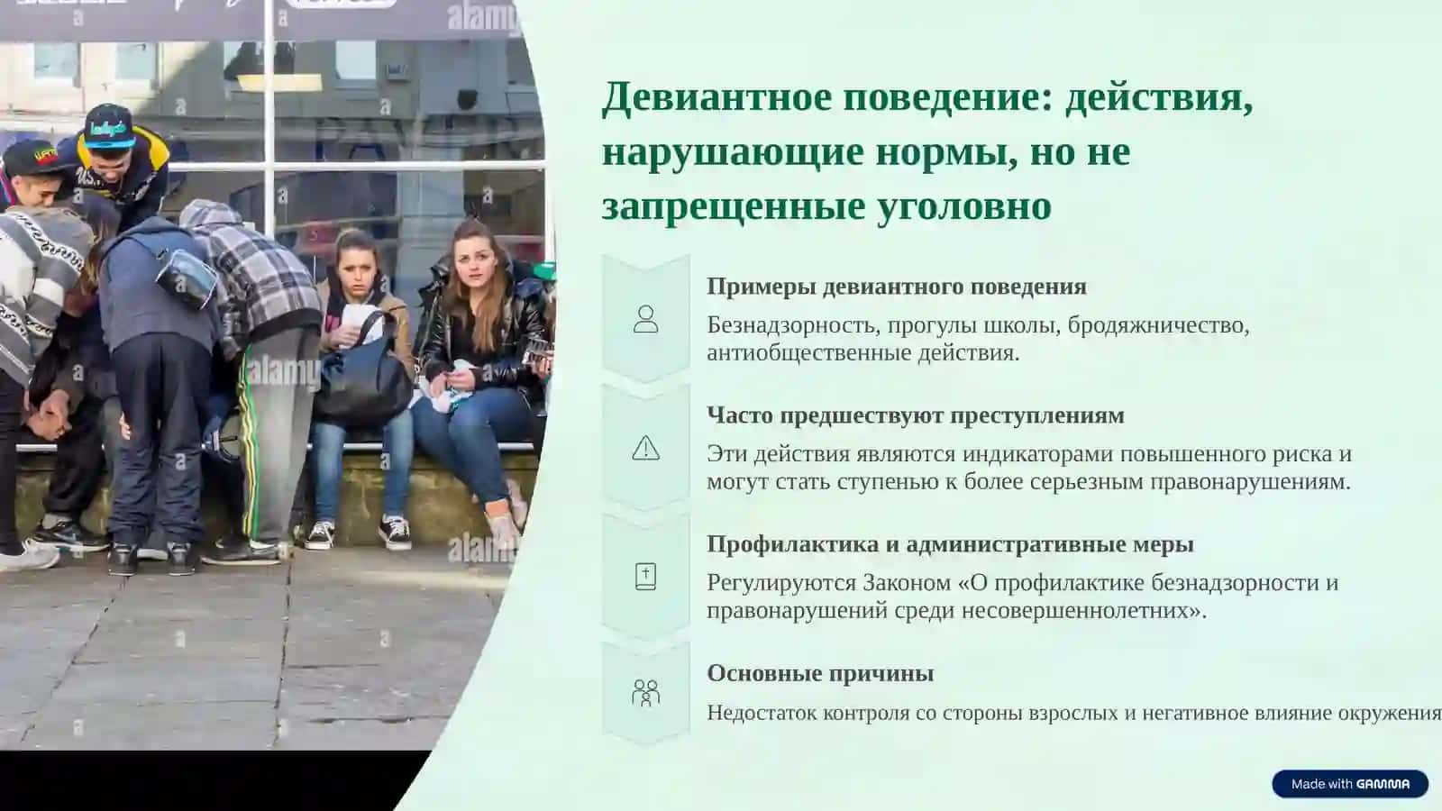 Преступность, преступность несовершеннолетних и профилактические услуги 3