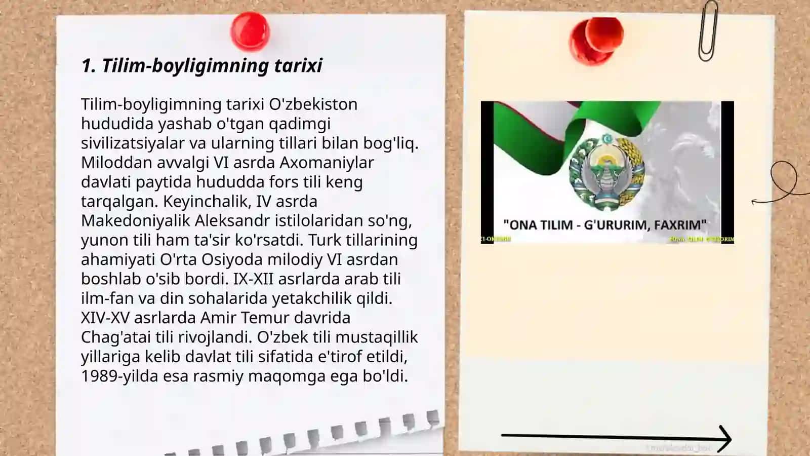 Tilim-boyligimning tarixi 3