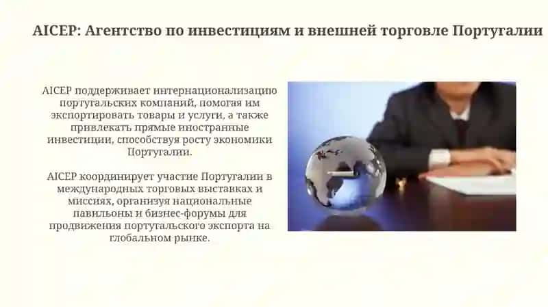 Организации управления и регулирования внешнеэкономической деятельностиПортугалия 3