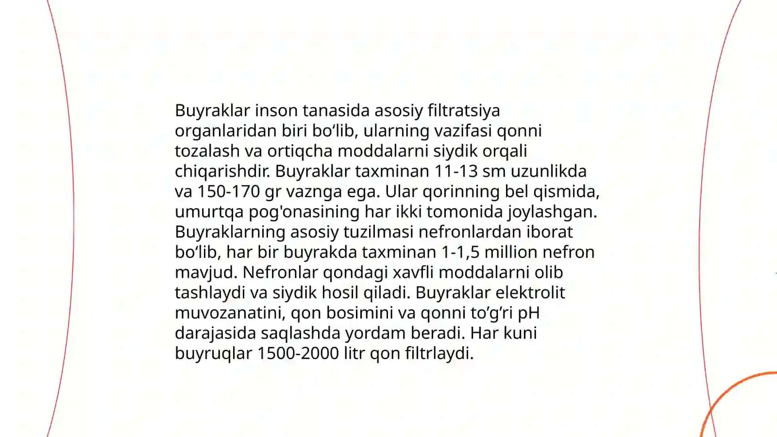 Buyraklarning fiziologiyasi va tuzilishi 3