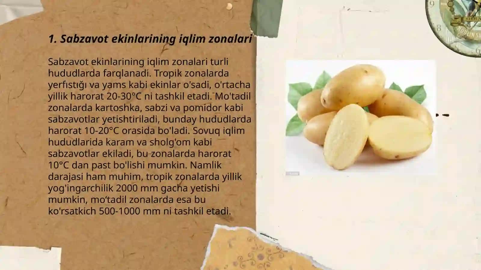 Sabzavot ekinlarining tarqalish makonlari 3
