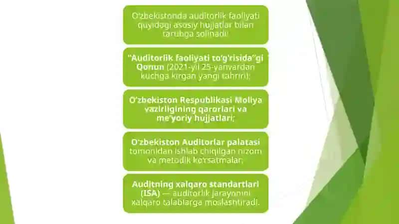Auditorlik faoliyati 3