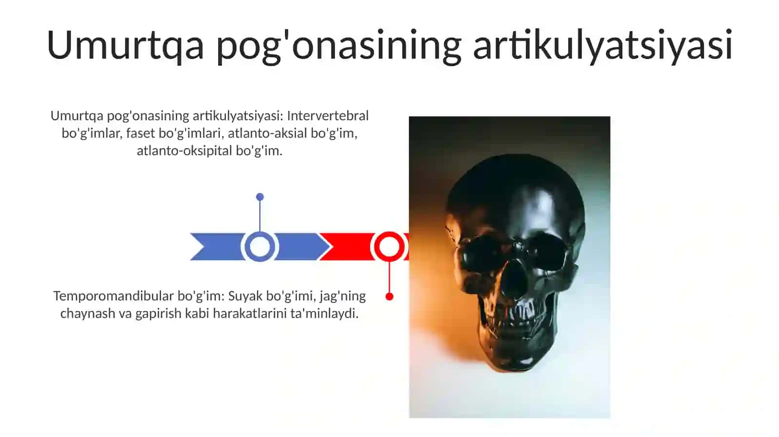 Burilishlar va ularning turlari. Kalla suyaklarining birikishlari Chakkapastki jagʻ boʻgʻimi. murt qapogʻonasining birlashuvi 3