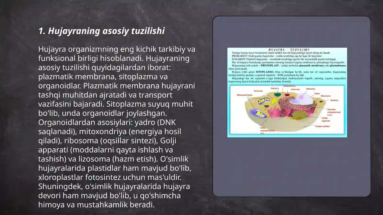 Hujayra yadrosi va hayvon toʻqimalari 3