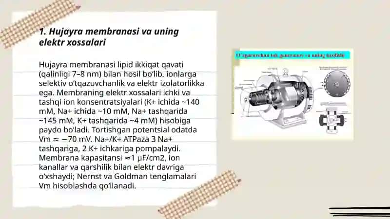 Qoʻzgʻaluvchan toʻqimalarda bioelektrik hodisalar. 3