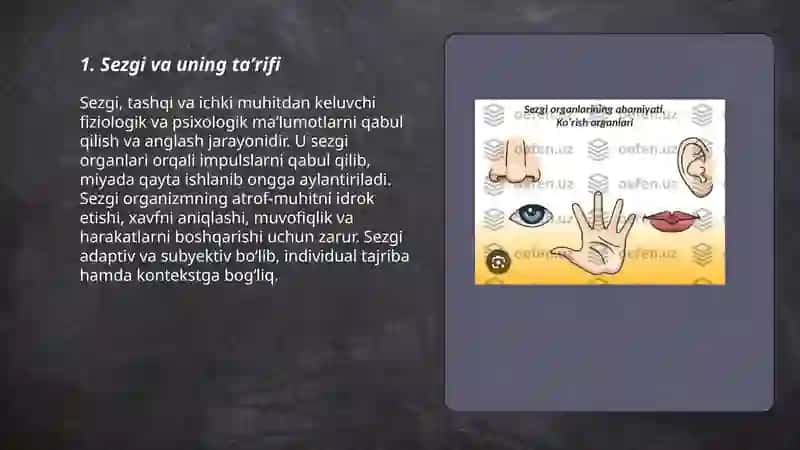 Sezgi va uning turlari 3