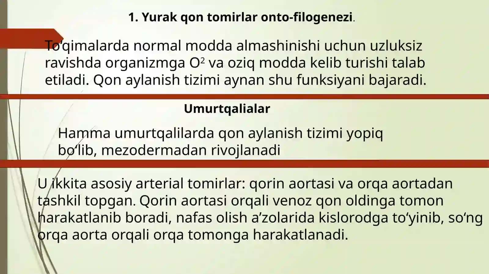 Organlar sistemasi onto-filogenezi: qon aylanish, nafas olish, endokrin, ayirish sistemasi 3