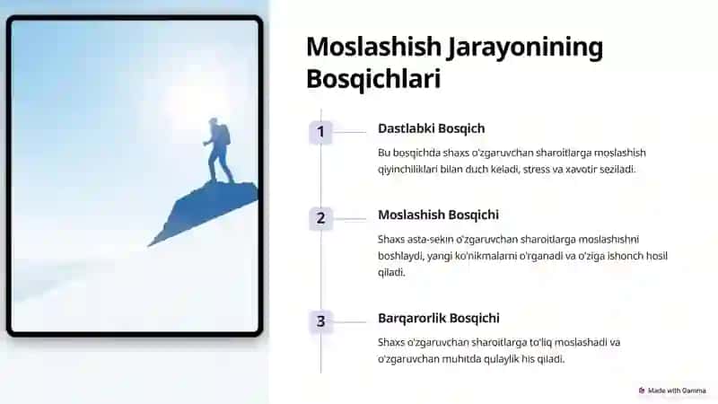 Adaptatsiya Jarayoni: Shaxs va Muhitning Uyğunlashuvi 3