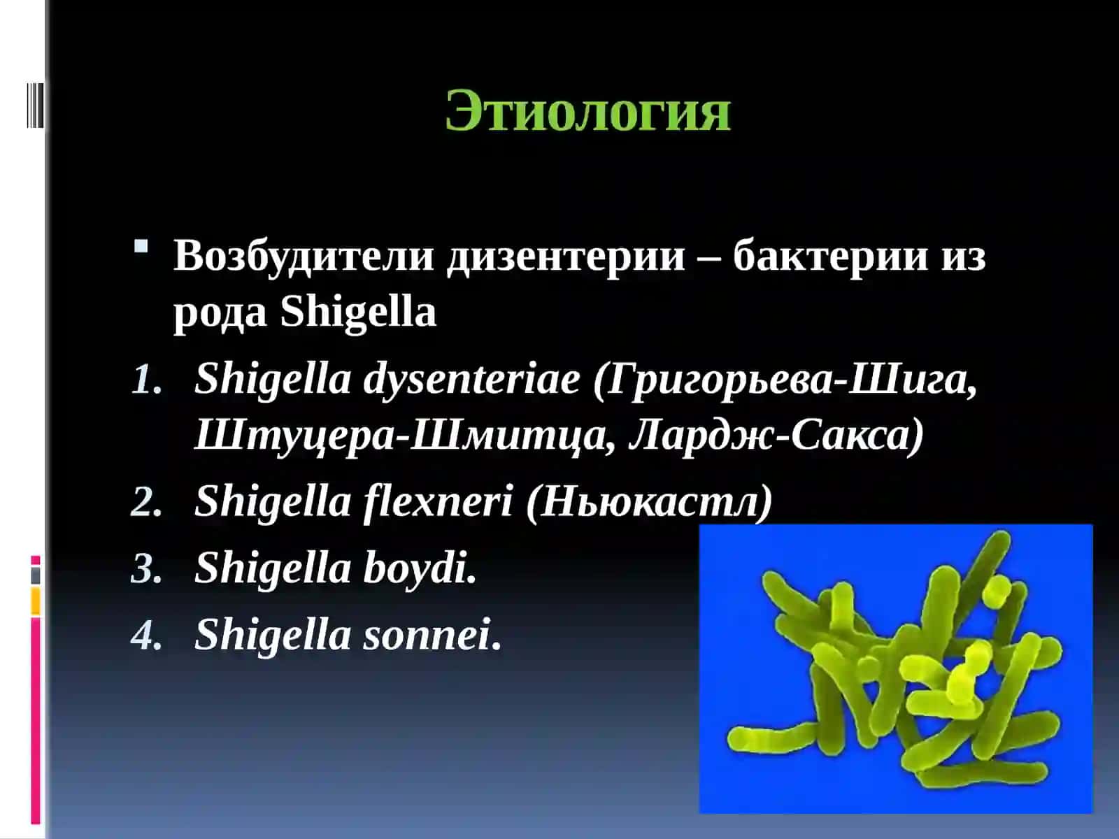 ДИЗЕНТЕРИЯ (ШИГЕЛЛЕЗ) 3
