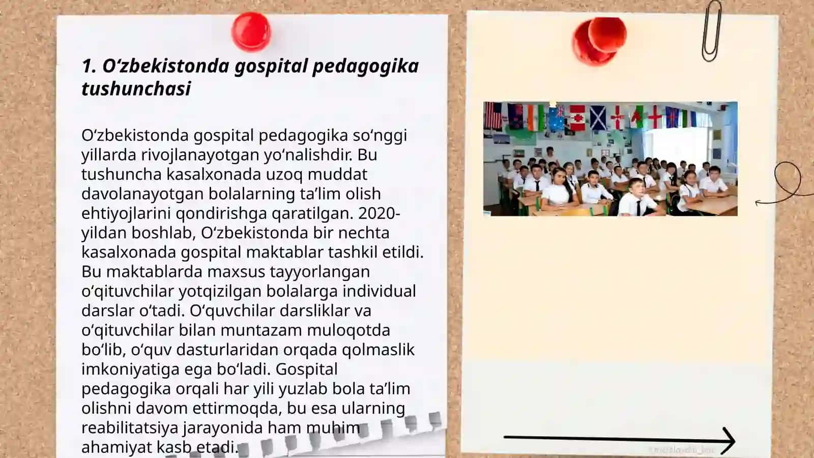 Oʻzbekistonda Gospital pedagogikaning meʼyoriy-huquqiy bazasini tahlil qilish 3