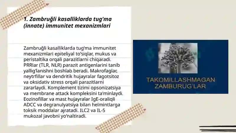 Zambruğli kasalliklarda immunitet javob reaksiyalari 3
