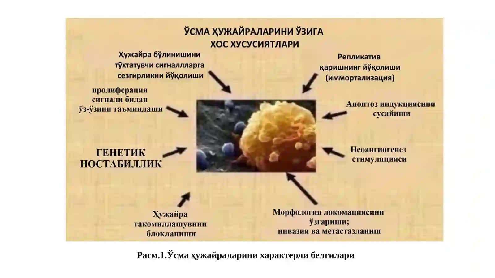 КАНЦЕРОГЕНЕЗ 3