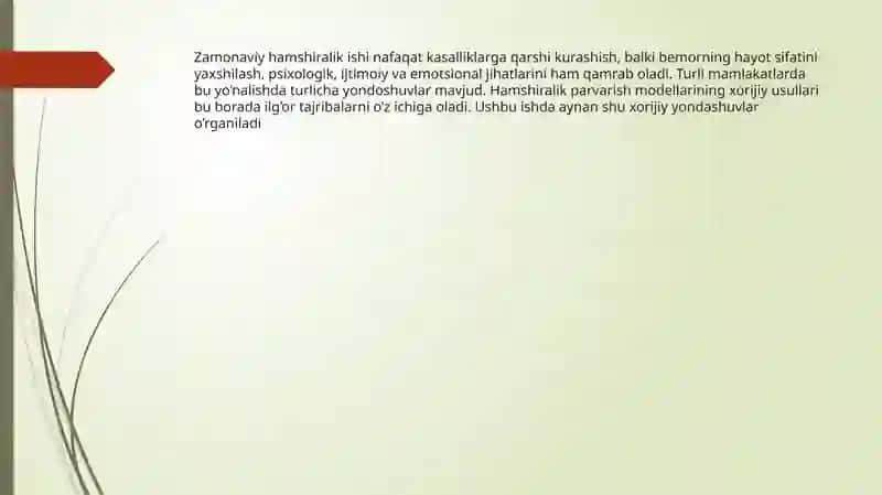 Hamshiralik parvarish modellarning xorijiy usullari 3