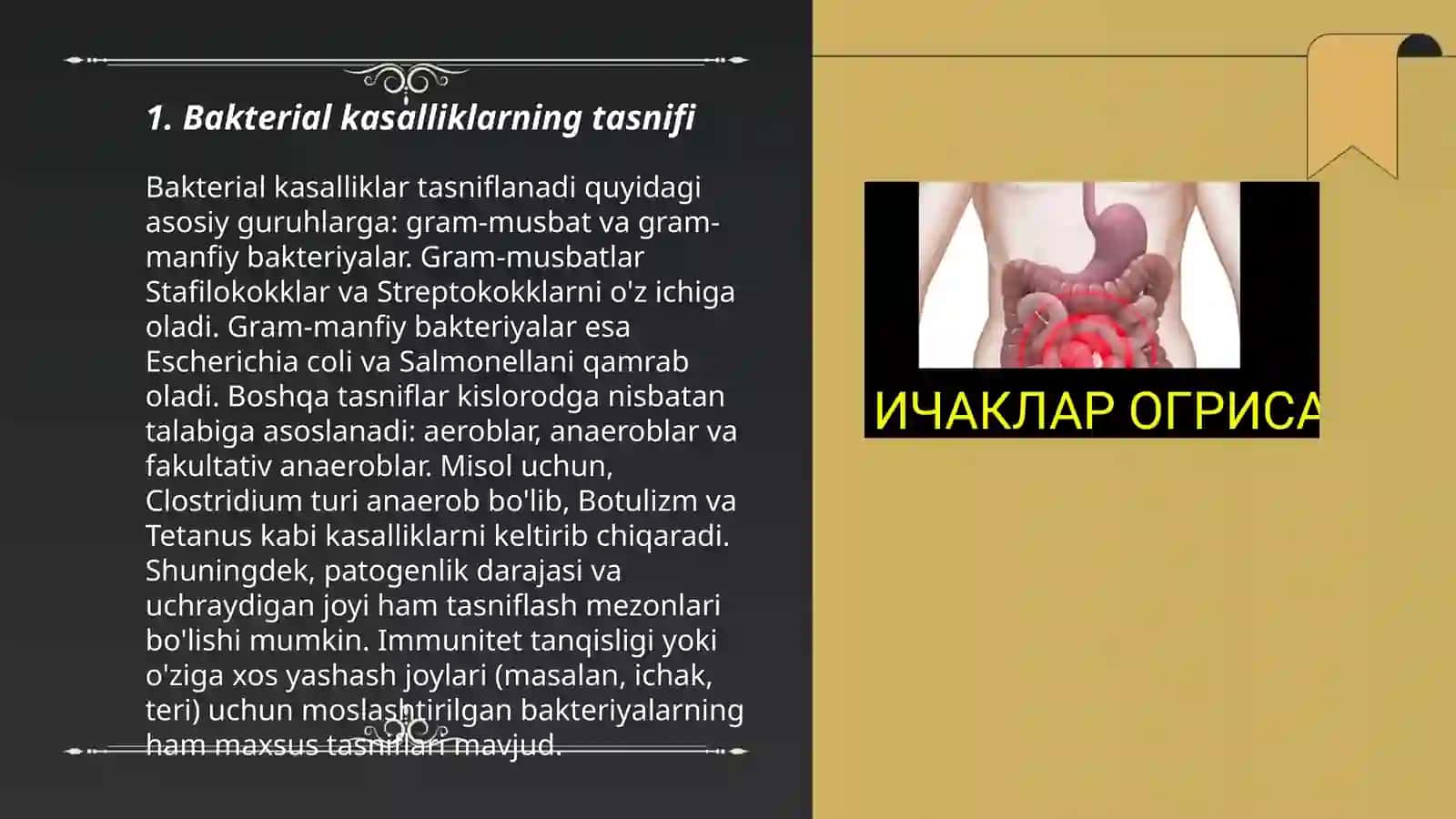Makkajuhorining bakterial kasalliklari va ularga qarshi kurashi kurash choralari 3