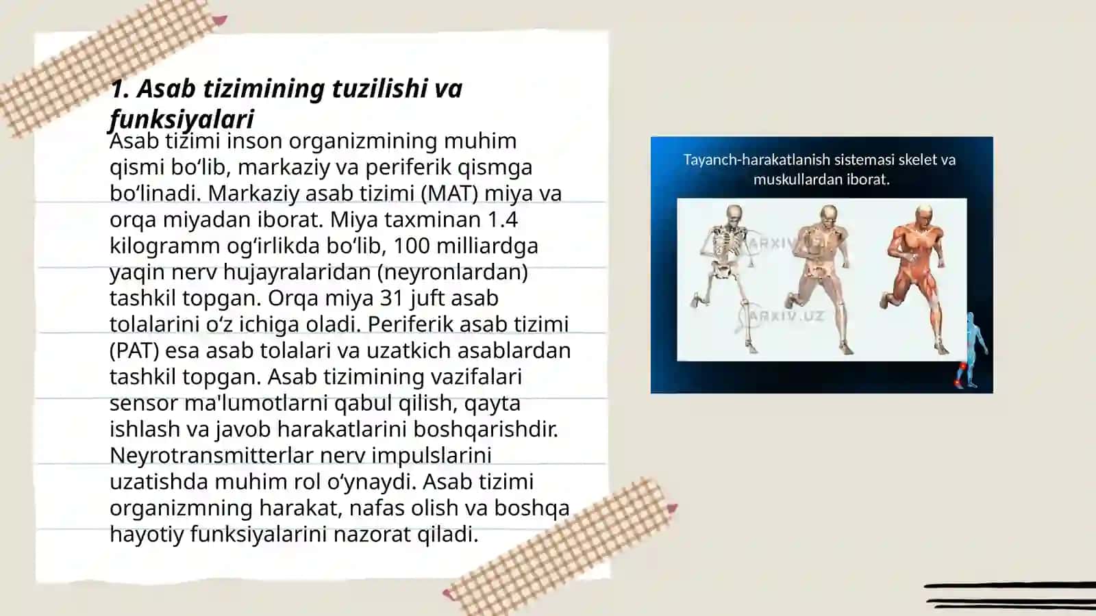 Nerv sistemasi va temperament.Ta’limga ijobiy motivlarni shakllantirish Inson xarakteri va shaxs kamoloti 3