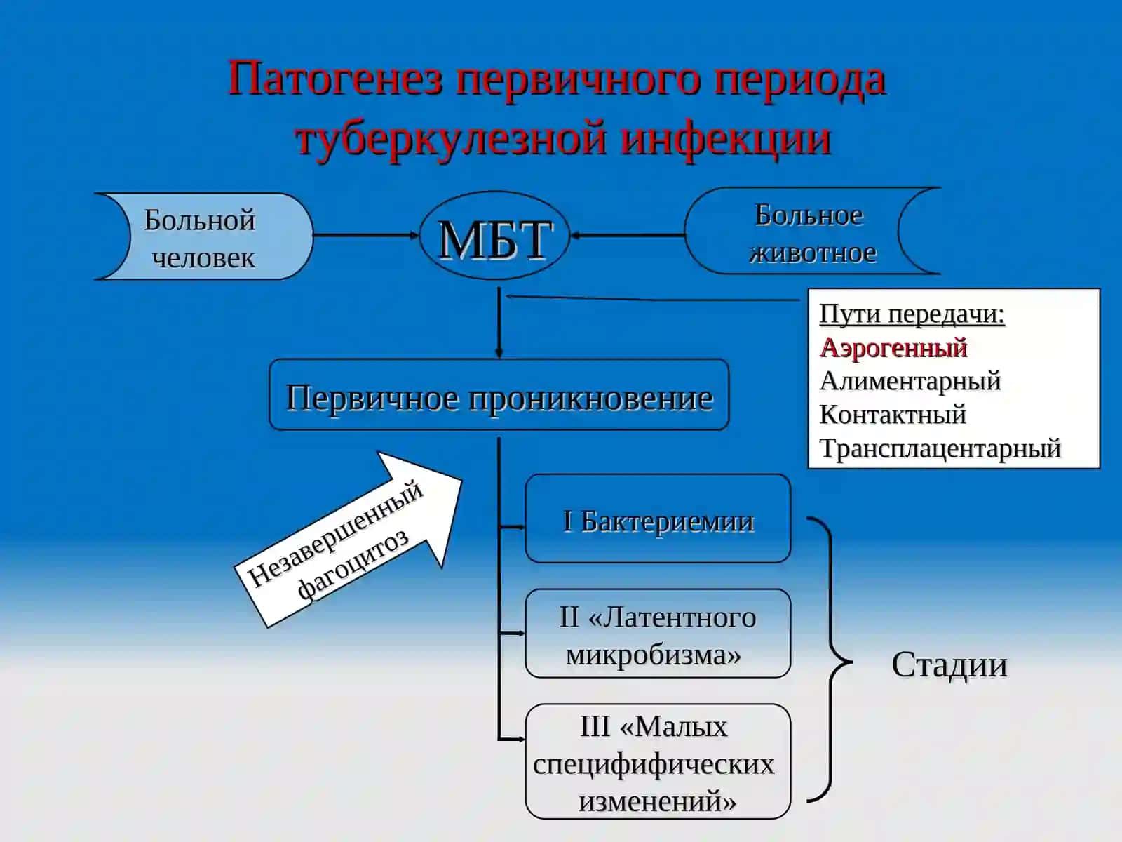Первичный туберкулез. Ранняя диагностика клинических форм первичного туберкулеза, остаточные изменения и методы лечения. 3