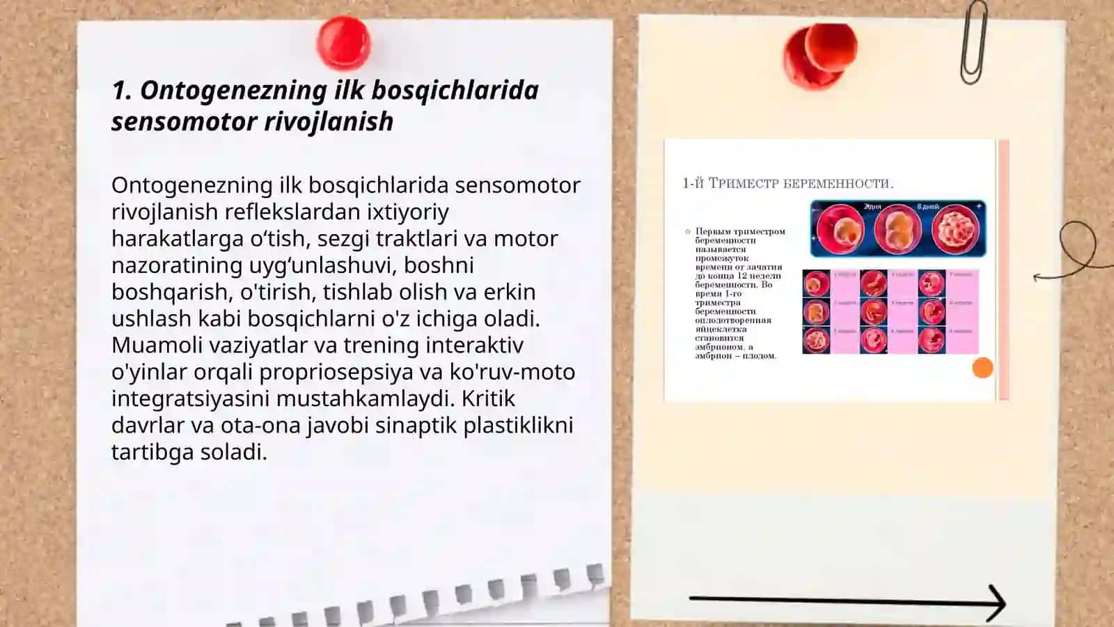 Ontogenezning ilk bosqichlarida insonning psixik rivojlanishga xos xususiyatlari Tayanch sozlar Muamoli Vaziyat Trening Nilufar 3
