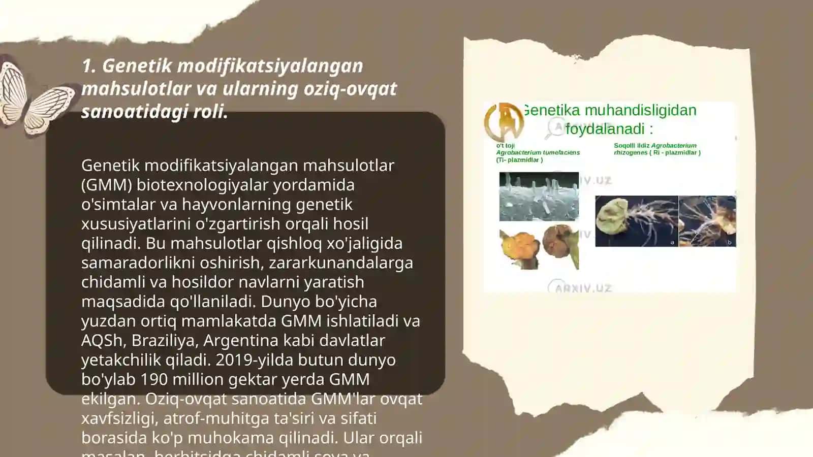 Genetik modifikatsiyalangan mahsulotlarning oziq ovqat sanoatidagi o'rni 3