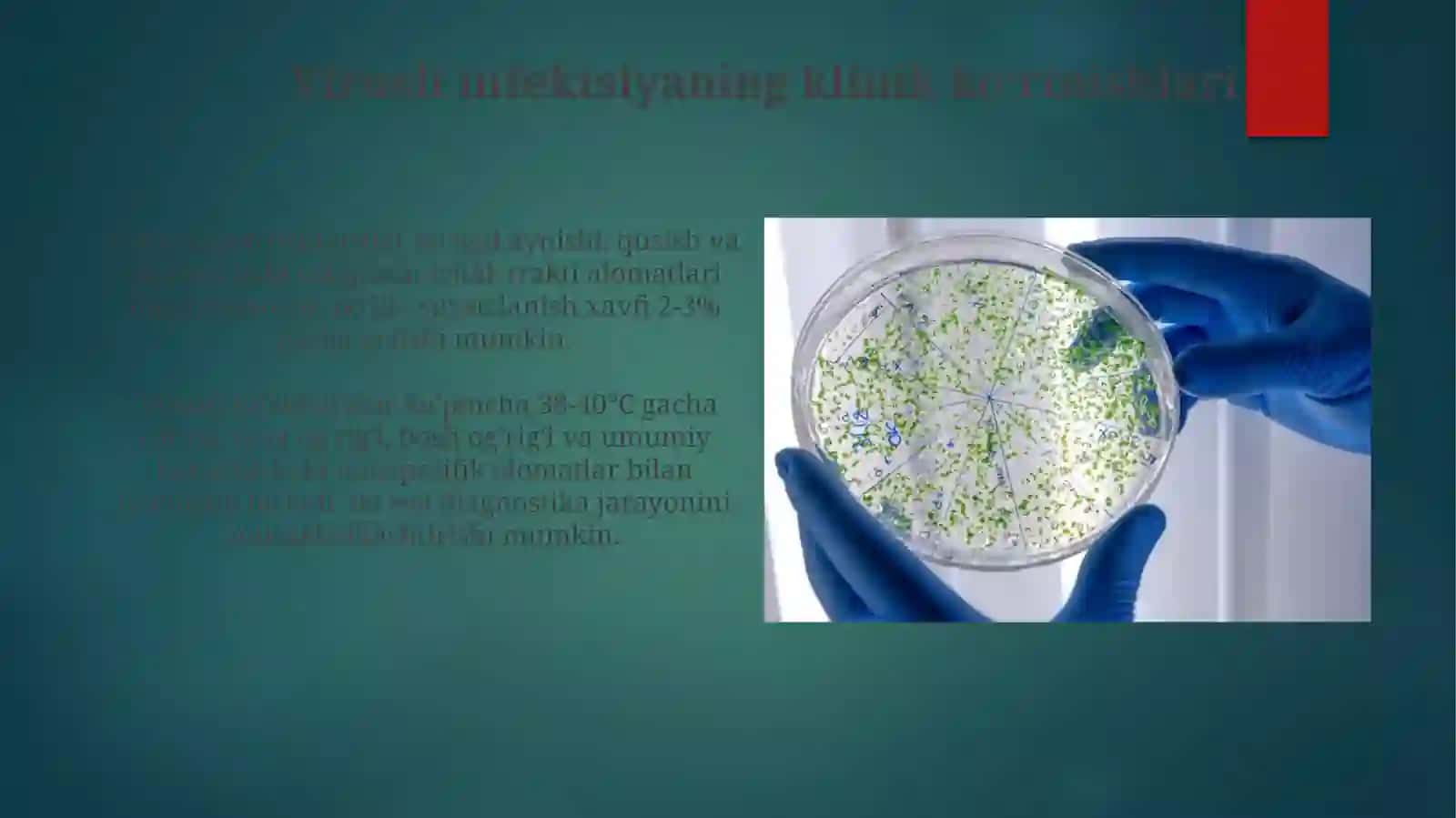 Virusalogiya hujayraga kirishi ko'payishi reproduksiyasi 3