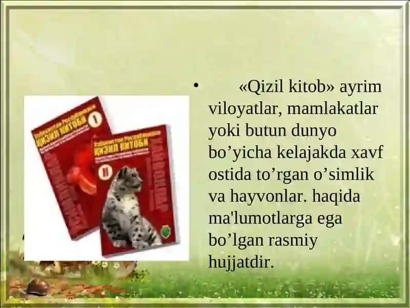 QIZIL KITOBGA KIRITILGAN O'SIMLIKLAR VA HAYVONLAR 3