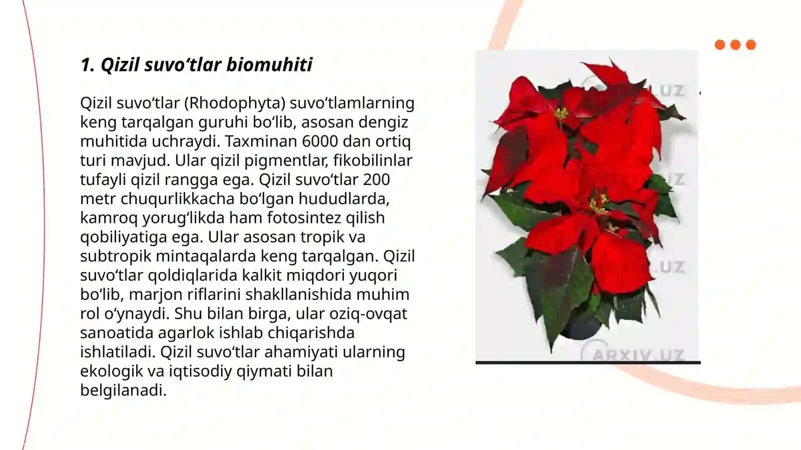 Qizil va Tillarang suvoʻtlar 3