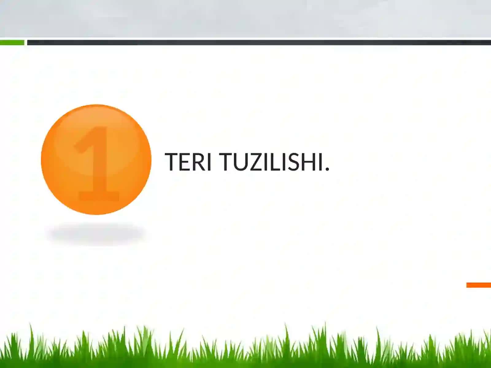 TERI TUZILISHI VA FUNKSIYASI 3