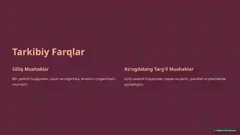 Silliq va Ko'ngdalang Targ'il Mushaklarning Fiziologik Farqlari 3