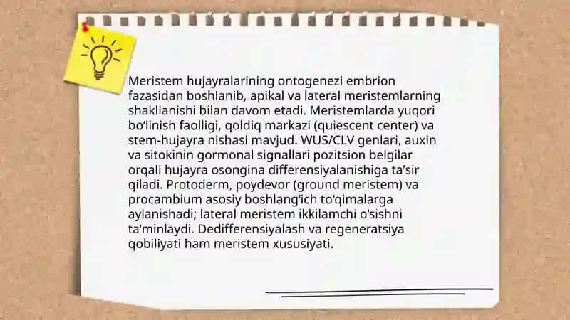 Oʻsimlik hujayralarining ontogenezi va hujayra tuzilmalarining biogenezi 3