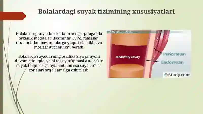 Bolalar kasalliklari propedivtikasi 3