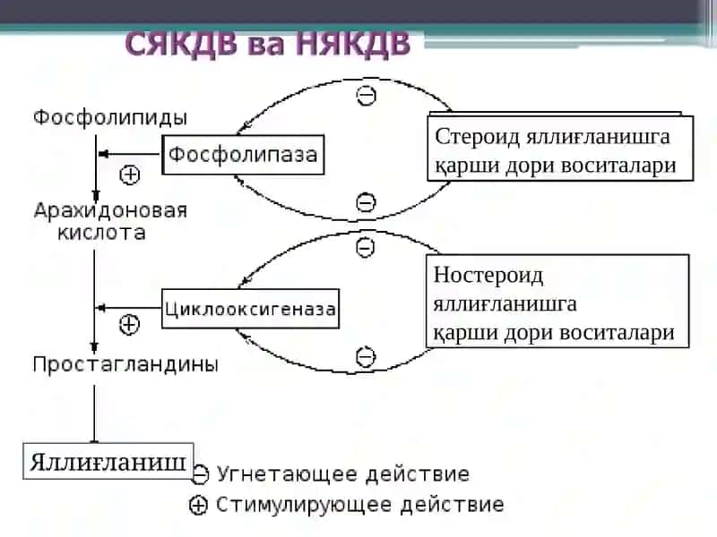 Стероид ва ностероид  яллиғланишга қарши дори воситалари 3