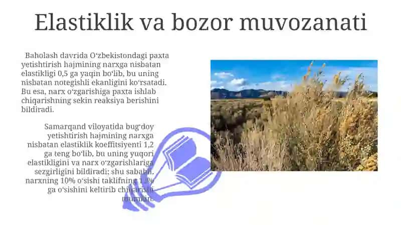 Elastiklik va Bozor Muvozanati 3