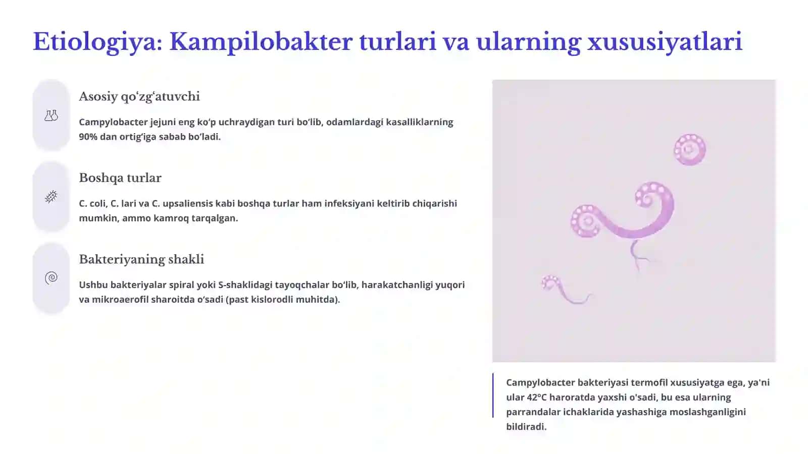Kampilobakterioz: Etiologiya, Epidemiologiya, Klinika, Diagnostika, Davolash 3