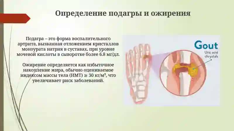 Средства для лечения подагры и ожирения 3