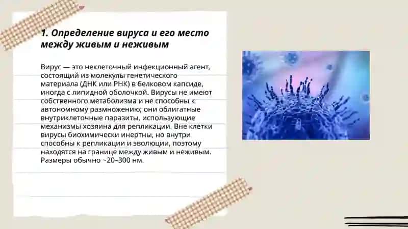 Что такое вирус 3