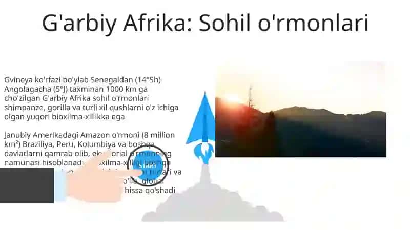 Ekvatorial oʻrmonlar zonasi tarqalgan materiklar tavsifi 3