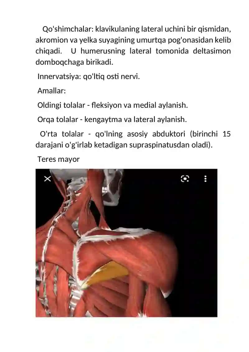 QOLNING KLINIK VA TAPOGRAFIK ANATOMIYASI 3