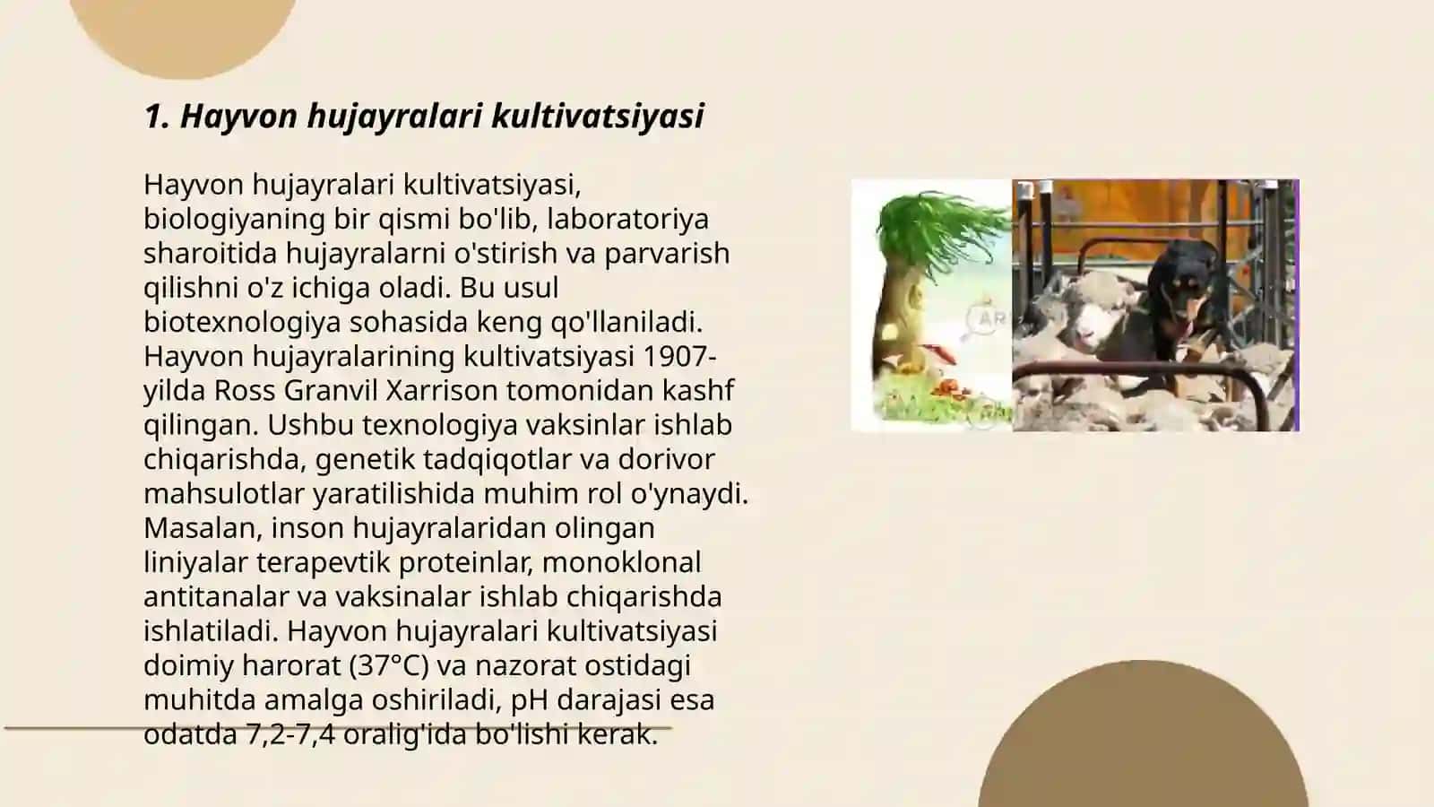 Hayvon hujayralari kultivatsiyasi 3