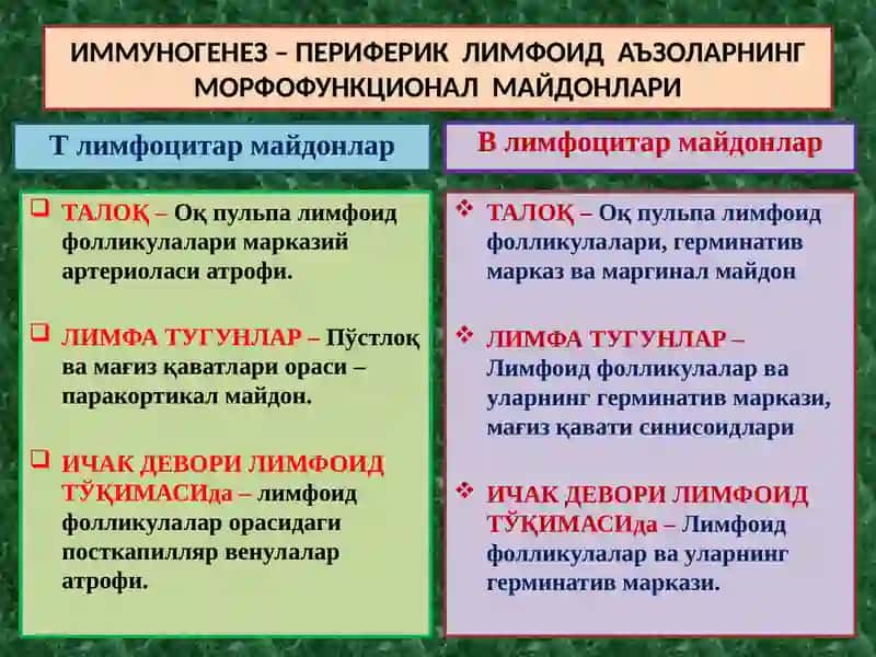 ИММУНОПАТОЛОГИК ЖАРАЁНЛАР. АЛЛЕРГИК ВА АУТОИММУН КАСАЛЛИКЛАР. ИММУН ТАНҚИСЛИГИ” 3