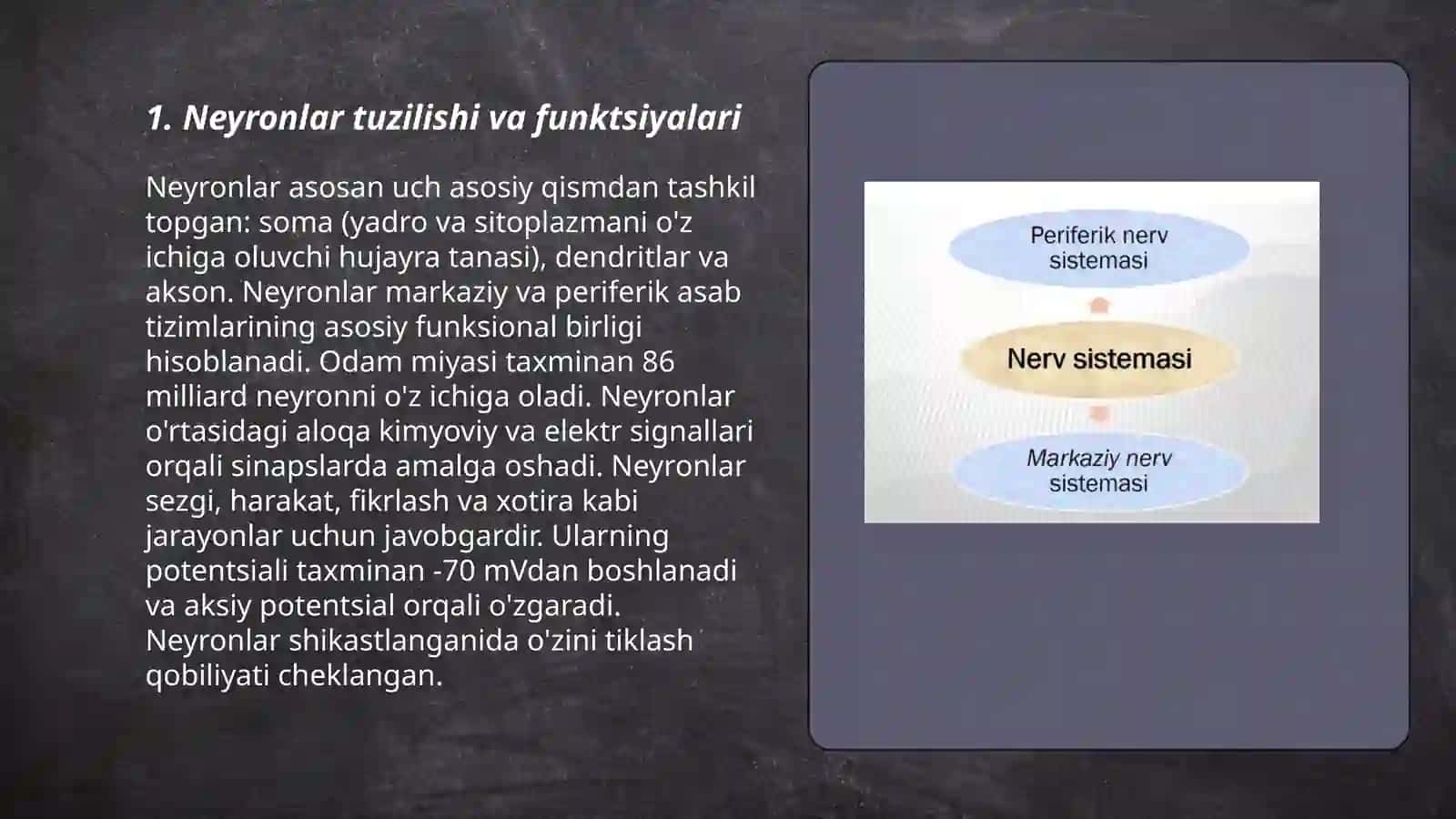 Umurtqalilar markaziy asab tizimining tuzilishi va vazifasi 3
