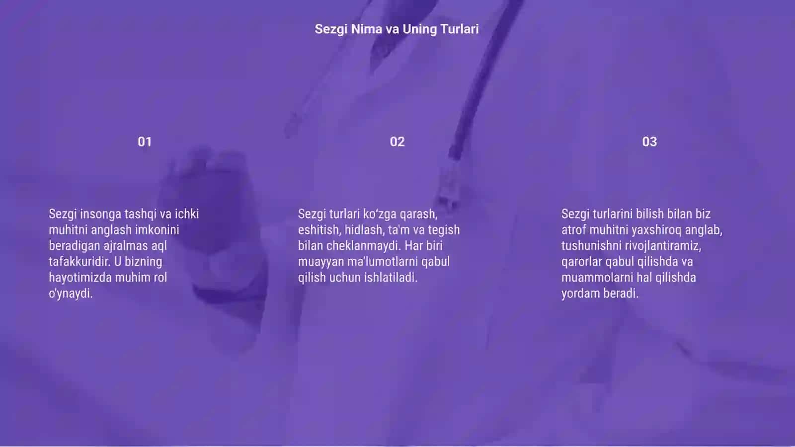 Sezgi turlari ppt 3