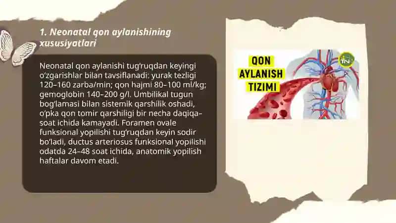 Neonatal qon aylanishining xususiyatlari 3