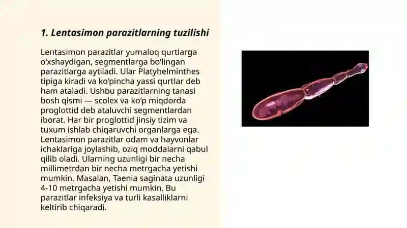 Odamlarda parazitlik qiluvchi lentasimonlar(exinokokk alveokokk) 3