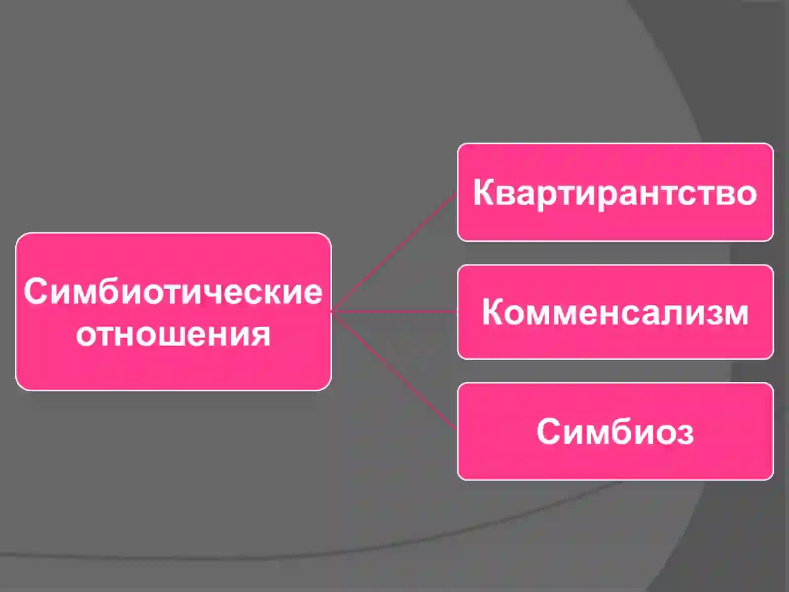 Взаимоотношения между организмами 3
