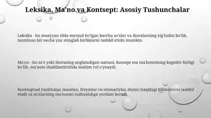 Leksik ma'no va tushuncha haqida qarashlar 3