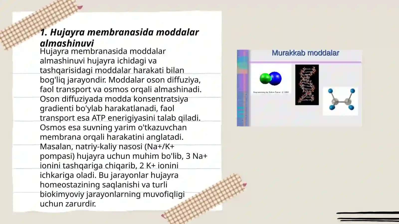 Hujayrada moddalar, energiya va maʼlumotlar oqimi. Hujayra ploriferatsiyasi muammolarining tibbiyotdagi roli 3