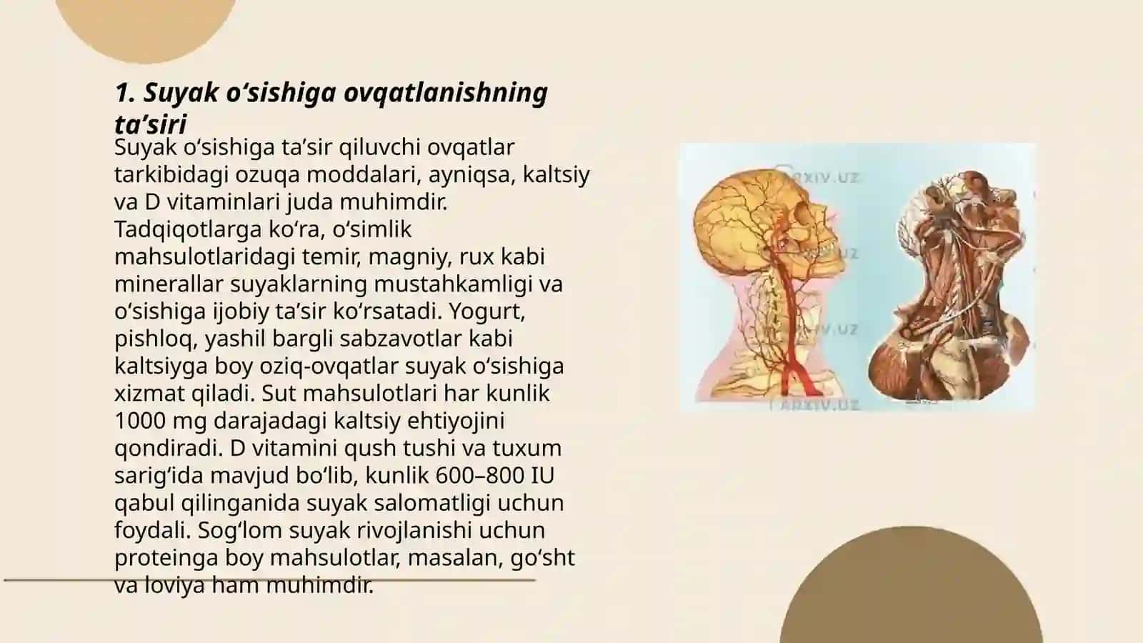 Suyak oʻsishida turmush tarzining va tashqi omillarning ta'siri 3