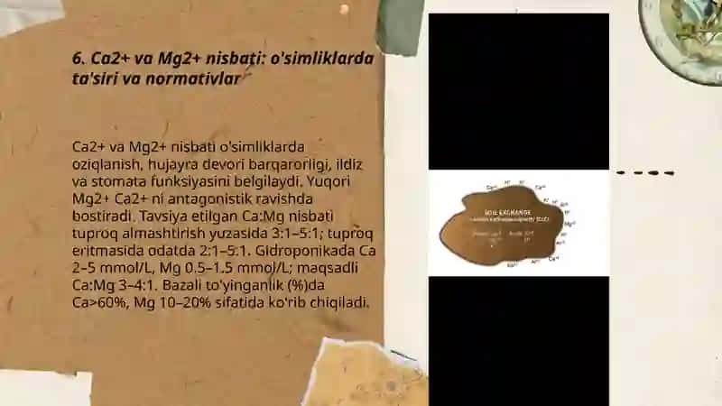 Tuproq eritmasidagi ionlar ularning nisbati va antogonizmi 3