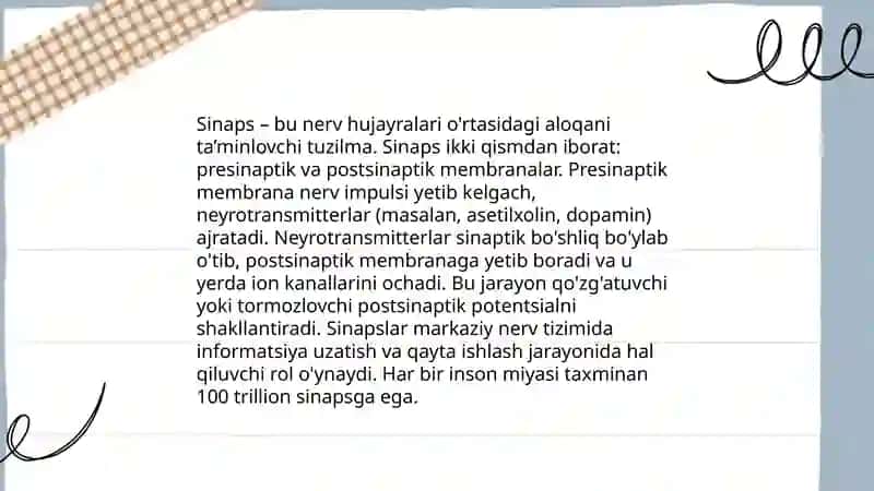 Sinapslar 3