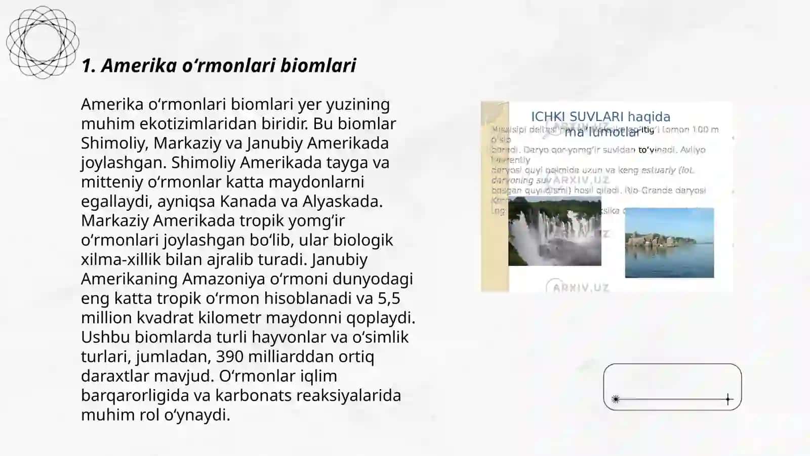 Amerika oʻrmonlari dendrologik tarkibi va geografik taqsimlanishi 3